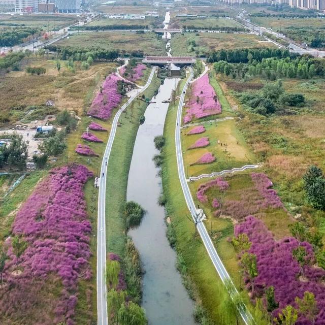 热门消息-济南的秋天，是懂“配色”的！(6)