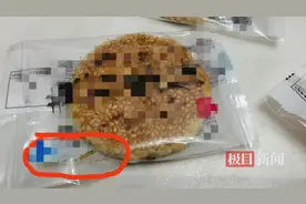 极目帮办|糕点里吃出虫子，黄石市监部门和记者介入后消费者获赔偿图片