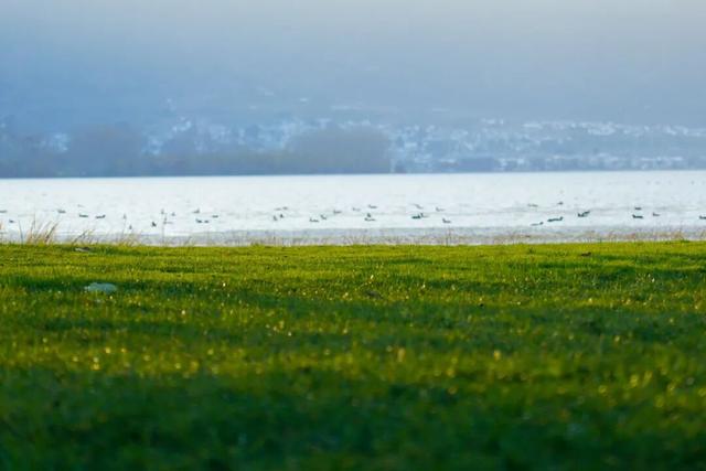 大理，为什么让人向往？