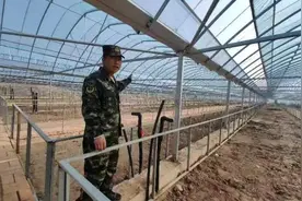 哈尔滨木兰县特色产业走上链式“蛭”富路图片
