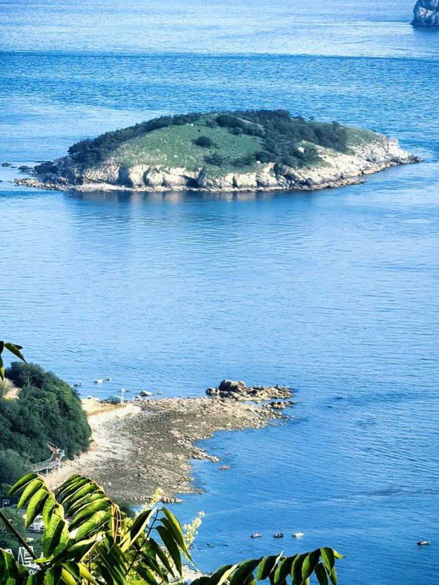 G768次宝藏列车！齐齐哈尔始发6小时直达海滨，享夏日浪漫！