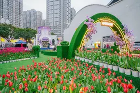 100000株郁金香绽放世纪金源 邀您共赴春日盛宴图片