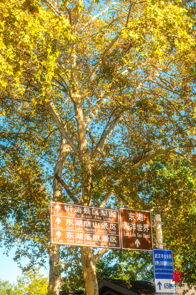 寒潮倒计时！再不来就迟了