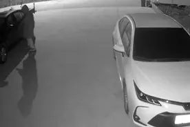 嫌疑人：有人往那边跑了，快追！狗狗“大黄”：你骗人！图片