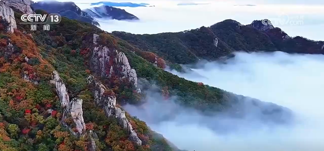 秋季限定风光已“上线” 五彩斑斓的秋日盛景在神州大地次第铺展