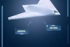 中国飞机：攻击-11图片