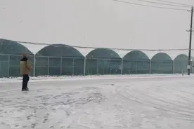 农业无人机在风雪中起飞，1小时为2000平方米蔬菜大棚播撒融雪剂图片