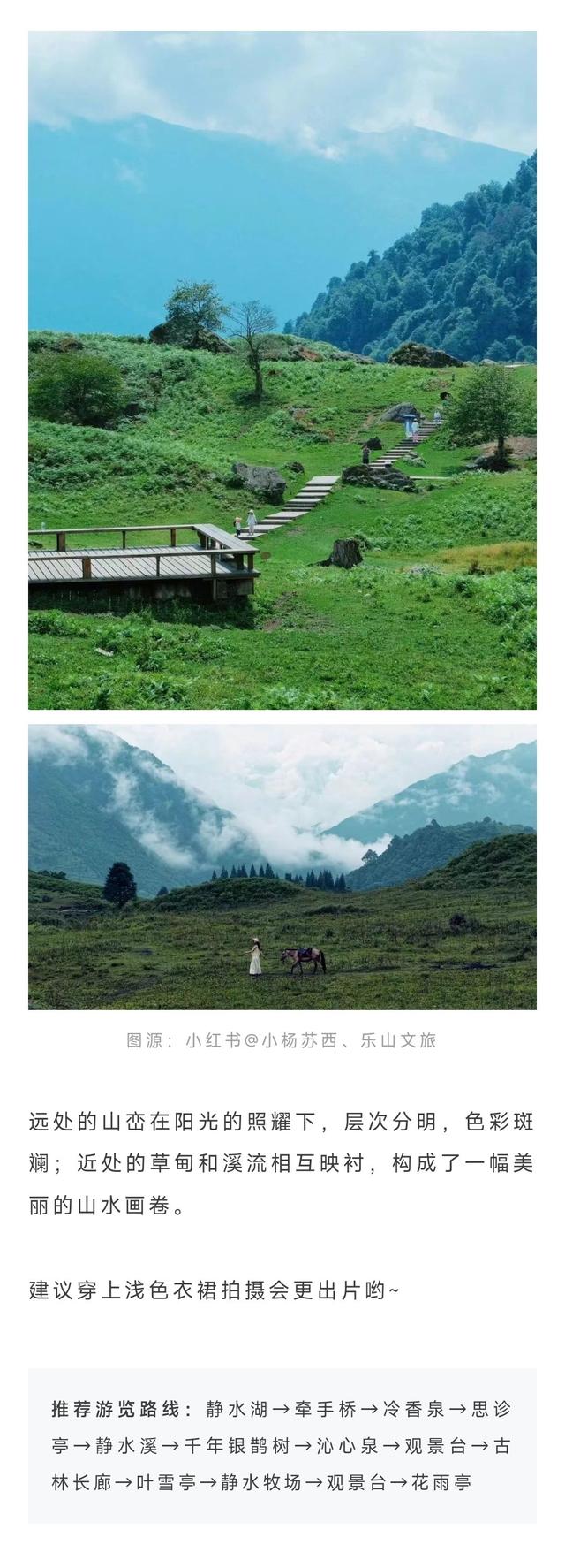 暂别川西！乐山黑竹沟已经美到神仙级！