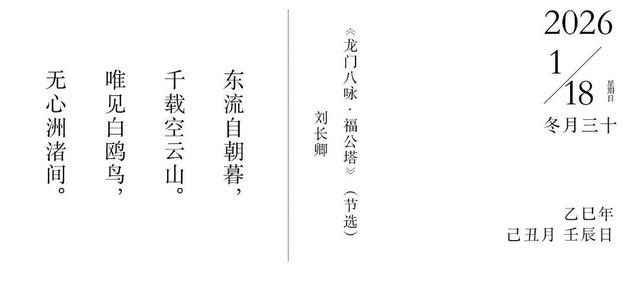 早安，长宁 | “万鸟齐飞”生态盛景正在上演，观鸟攻略→