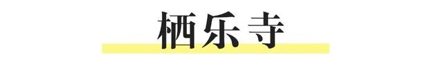不藏了！南充超火的打卡机位速来——