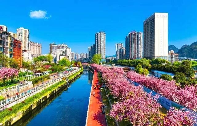 今天，“中国凉都”20岁生日！