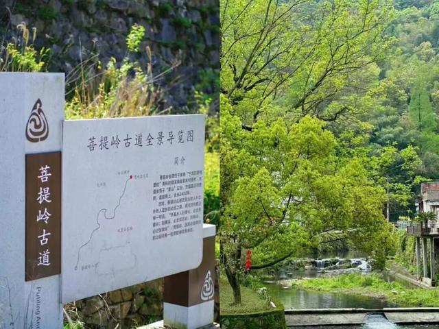 绝美！奉化这些宝藏步道，秋天走起正好→