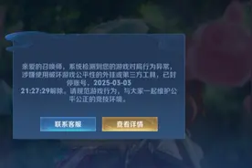 小伙玩王者荣耀花100元请代练，代练员“开挂”致账号被封，法院判退一赔三图片