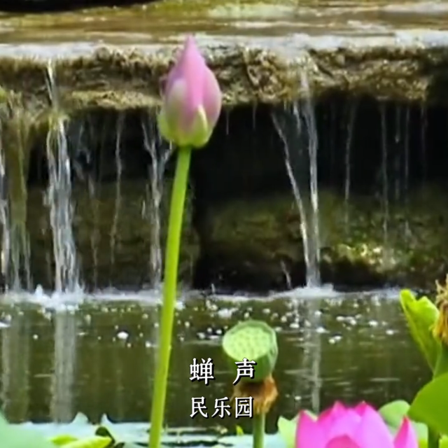 关掉BGM吧！这个夏天，运城大自然的声音比任何音乐都动人
