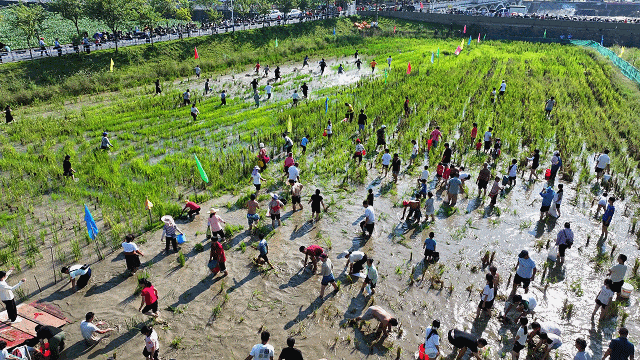 国庆假期第二日，广东4A级及以上景区接待游客461.5万人次