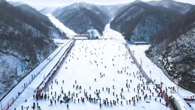 年假清零，总要留几天给洛阳