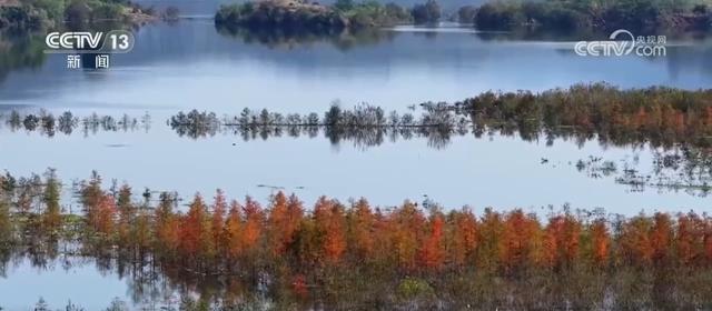 “限量版”秋冬美景成为旅游“金名片” 各地打造文旅市场新增长点