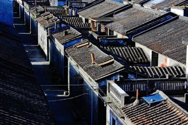 藏不住了！新会人身边的“欢乐农场”！