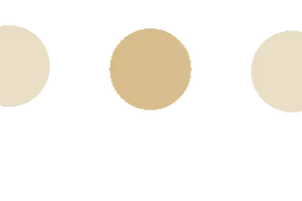 走进新国企 | 换羽新生 劲旅重装再出发图片