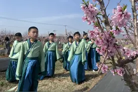 中国·蒙阴第十八届桃花文化旅游季启动图片
