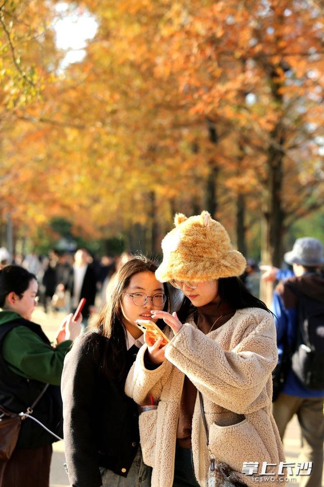 又是艳阳天，打卡人如潮｜组图