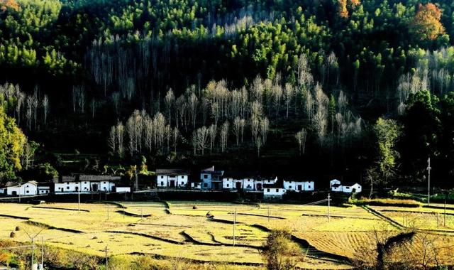 秋日江西，一场山川与丰收的治愈之旅