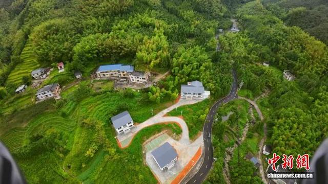 候鸟带来“生态流量” 多地发展“观鸟+”融合业态