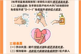 孩子被流浪动物咬伤，如何紧急处理？如何依法维权？图片