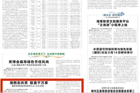 湖南日报丨湘西名优茶 致富千万家图片