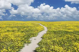 香油香说|14：精明风趣的农家老汉，总结出精当别致的生意经图片