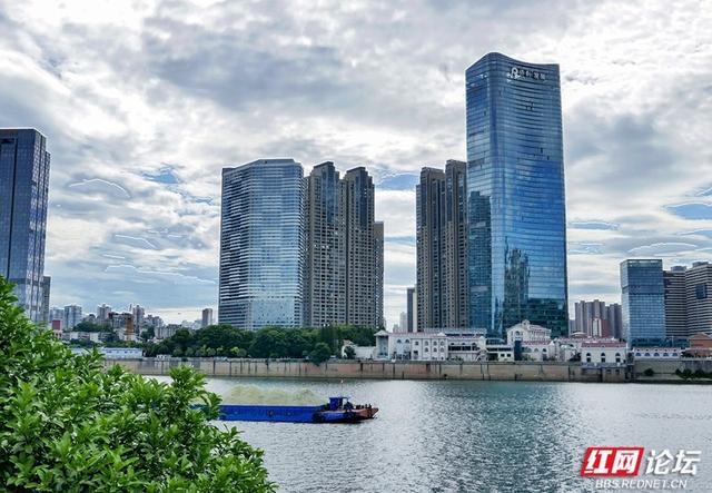 高清湖南丨夏日橘子洲：湘江碧波映红颜，游人如织话风情