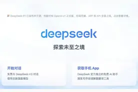 DeepSeek，你是懂弥勒的！图片