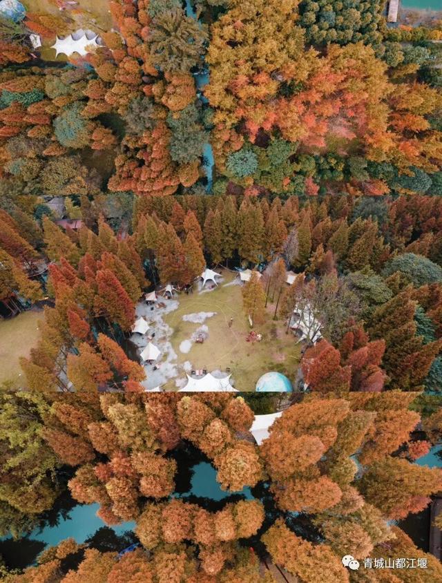 都江堰元旦田园游攻略：林盘漫步、山野美食……沉浸体验都江堰原汁原味的乡村风光~