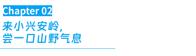 在这座东北小城，被顶级秋景暴击