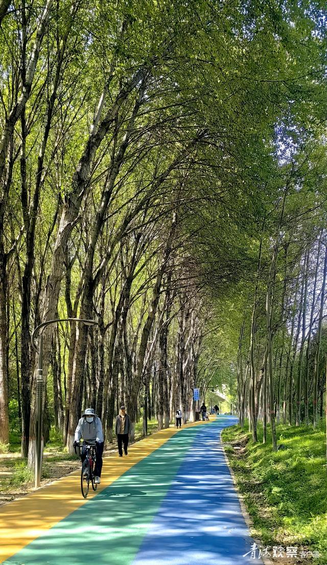 秋日西宁湟水河绿道：人在景中走 如在画中游