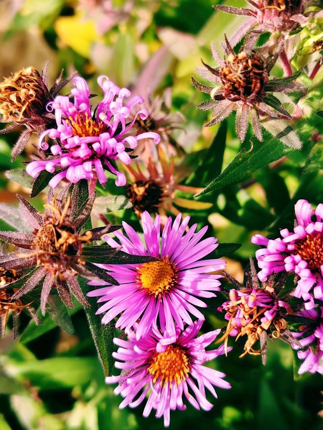 秋深冬浅时，奥森浸染缤纷色彩