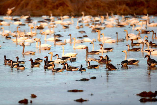 北京冬日限定“奇观”！就到月底！快冲→