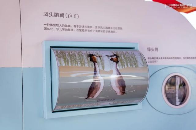 阳山自然驿站矩阵落成，全域科学体验线路启用