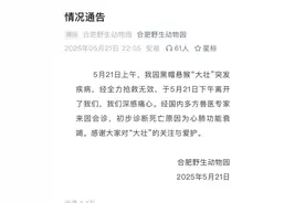 动物园发布通告 因方脸走红网络的猴子“大壮”去世图片