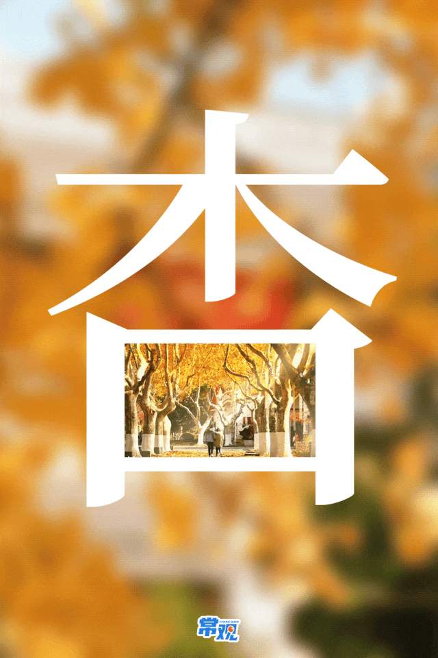 美翻了！大批常州人出动！