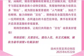 卡皮巴拉“豆包”出走返家后遭“霸总”冷暴力，今日征婚：无需彩礼有编制！嫁妆为豪华别墅图片