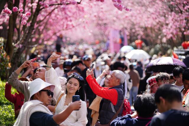 春暖中国｜万物生辉时：鲜花次第开，芬芳入画来