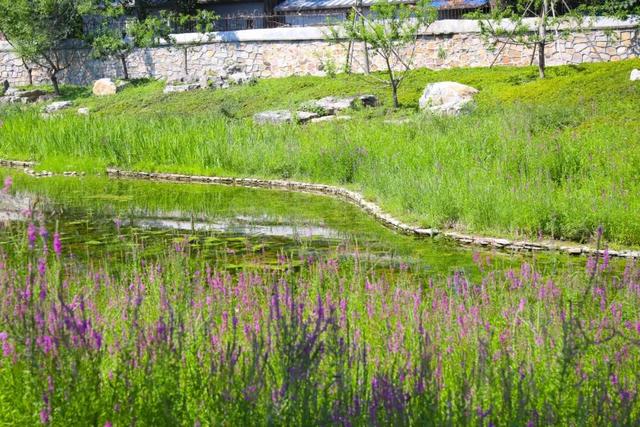 海淀区圆明园附近的“小而美”公园，您来过吗？