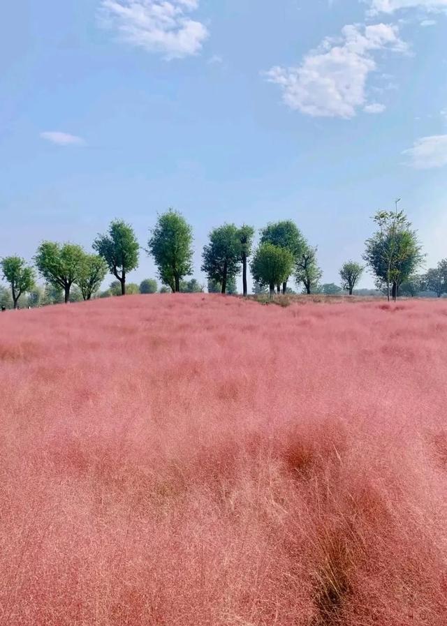 西安上新！高颜值秋景，正在加载！