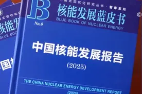 102台+1.13亿千瓦，首次跃居世界第一！中国核能发展“核动力”拉满图片