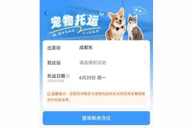 带宠物猫狗坐高铁，办理流程来了→图片