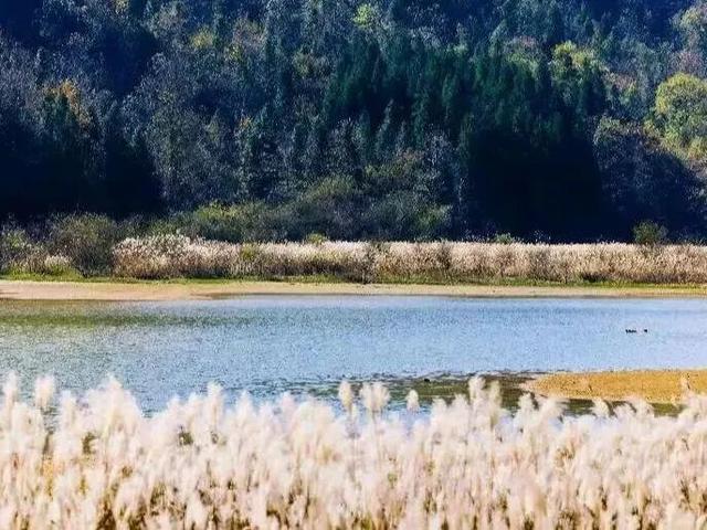 倒计时3天！接下来的湖北是这样的！