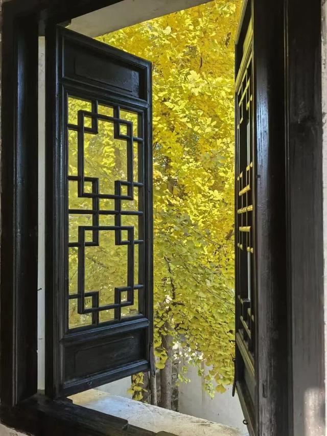 突然全黄了！无锡人注意！