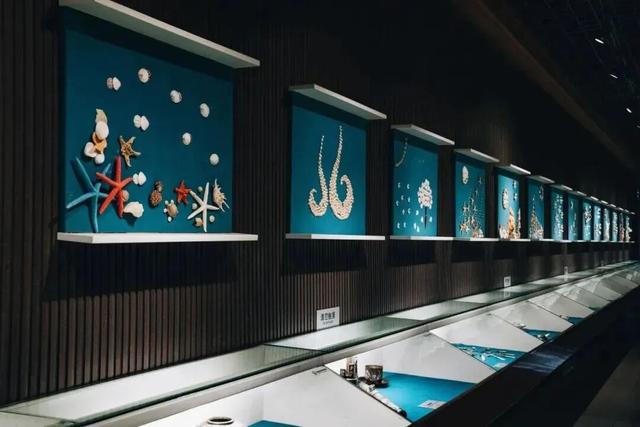 这10条冬游青岛线路，藏着N种浪漫！