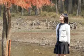 江夏这三处美成了油画！不信你看️图片